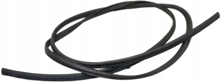 Ford Edge Mk2 Panoramic Roof Seal FT4BR51884-BA image 2