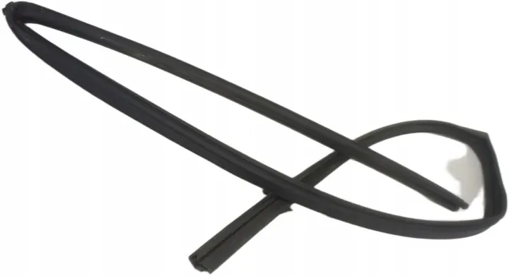 Renault Koleos II Door Window Seal Right Front US293 image 2