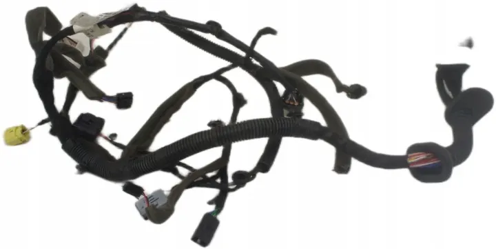 Renault Koleos II Left Front Door Harness 241245776R image 2