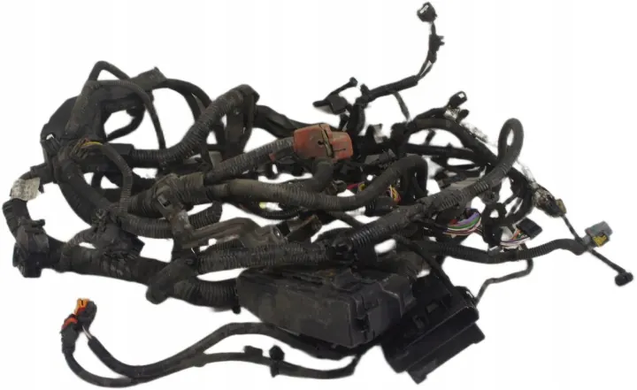 Renault Koleos II Engine Wiring Harness 240115149R image 2