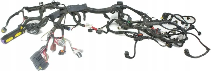 Dacia Sandero III Engine Wiring Harness 240112811S image 2