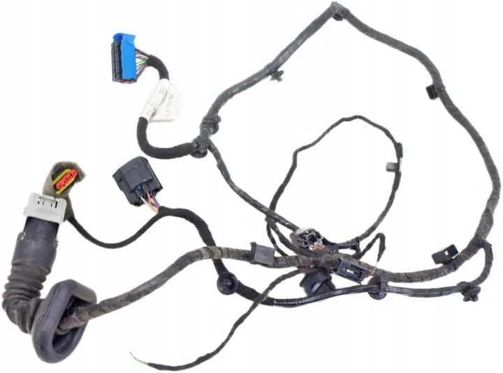 Maserati Quattroporte VI Right Rear Door Harness 06700075120 image 2