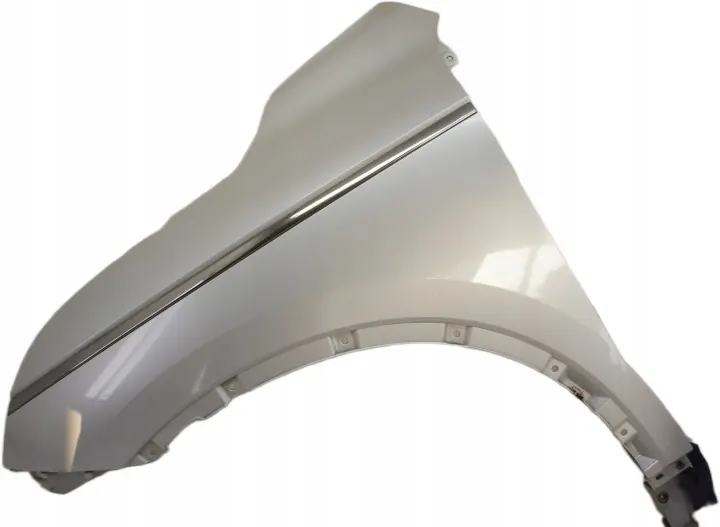 Renault Koleos II Left Front Fender US397 OE image 2