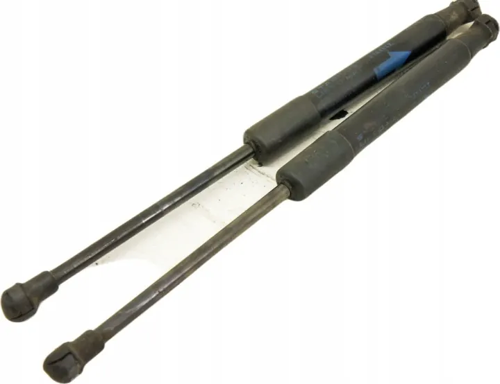 Renault Espace V Telescopic Hood Struts 654702253R image 2