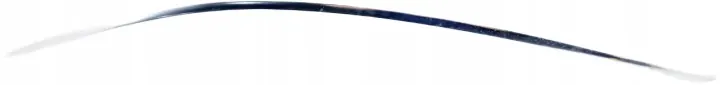 Audi A4 B9 Window Seal Strip Right Front 8W0837644 image 2