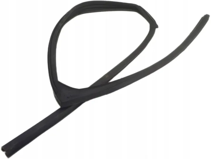 Renault Koleos II Door Window Seal Right Rear US254 image 2