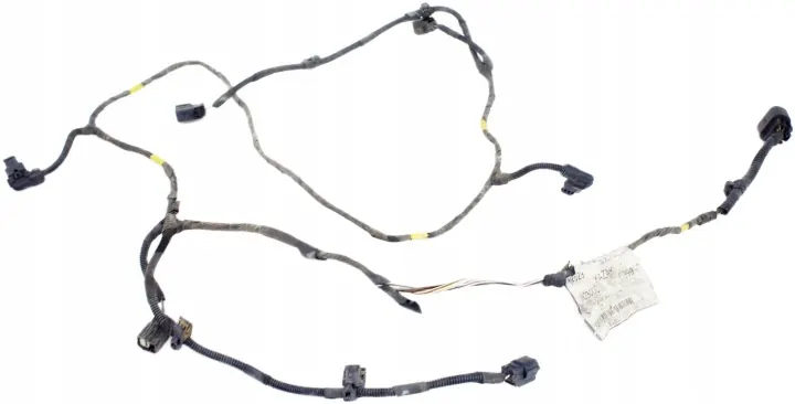 Maserati Quattroporte VI Front PDC Wiring Harness 06700075280 image 2