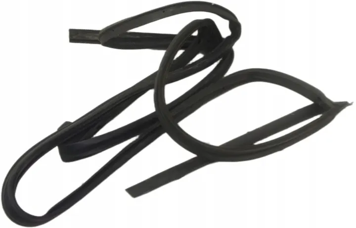 Renault Koleos II Left Rear Door Seal US267 image 2