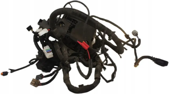 Renault Koleos II Interior Wiring Harness 403885804R image 2