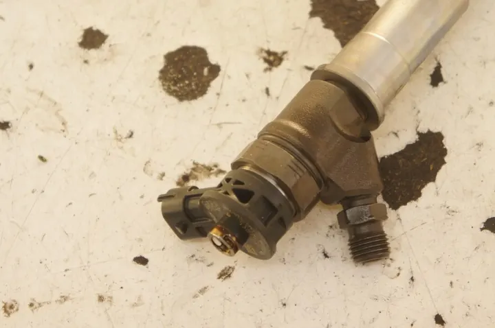 Renault Koleos II Fuel Injector 0445110728 image 2