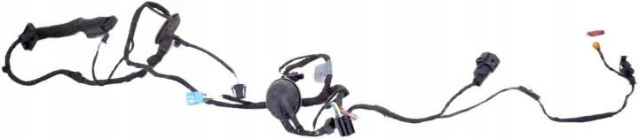 Audi A4 B9 Left Front Door Wiring Harness 8W0971029BF image 2