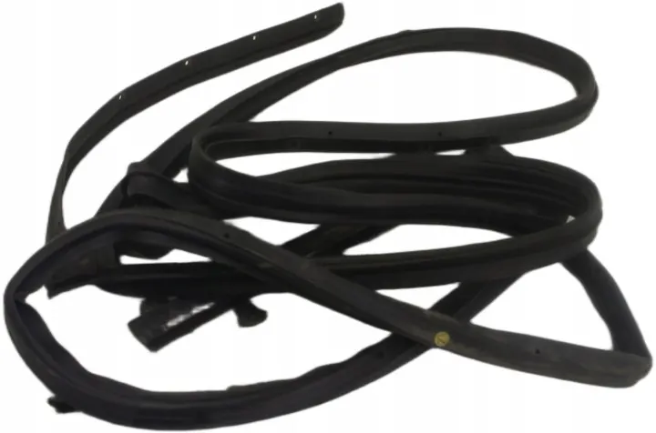 Renault Koleos II Rear Right Door Seal US245 image 2