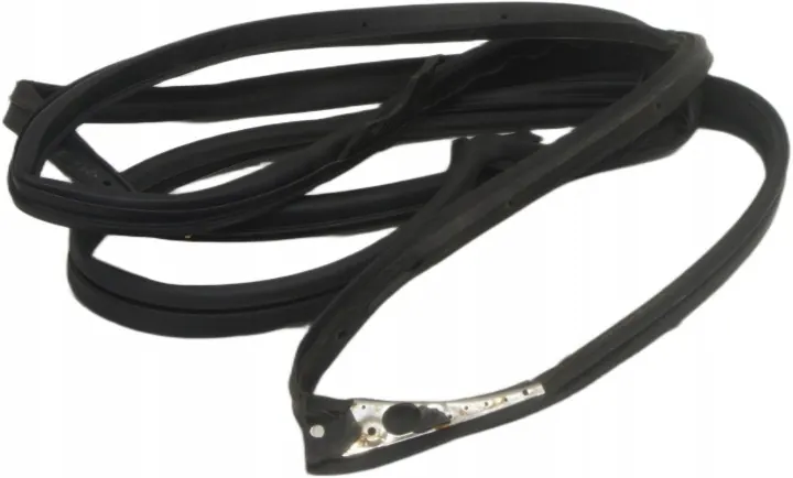 Renault Koleos II Right Front Door Seal US294 image 2