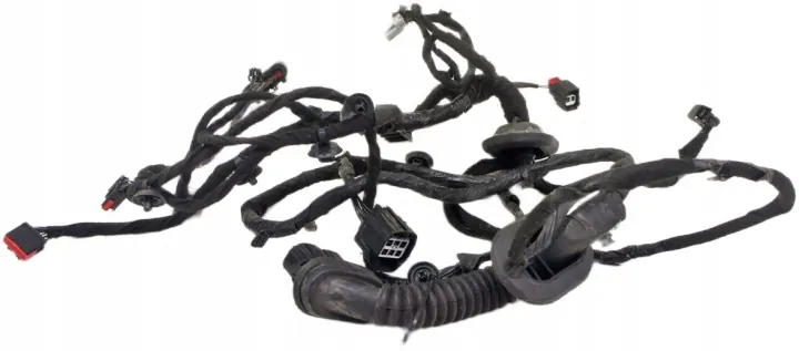 Ford Edge Mk2 Left Front Door Harness - UV186 OEM image 2