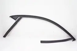 Volvo XC40 Door Window Seal Right Front 31455058