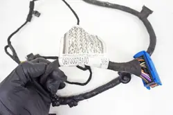 Maserati Quattroporte VI Left Rear Door Harness 06700075100