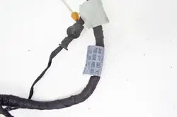 Audi A4 B9 Right Rear Door Wiring Harness 8W0971687AQ